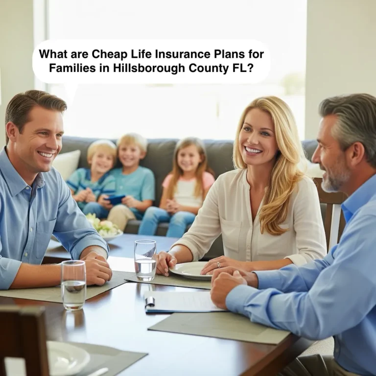 Cheap Life Insurance for Families in Hillsborough County FL