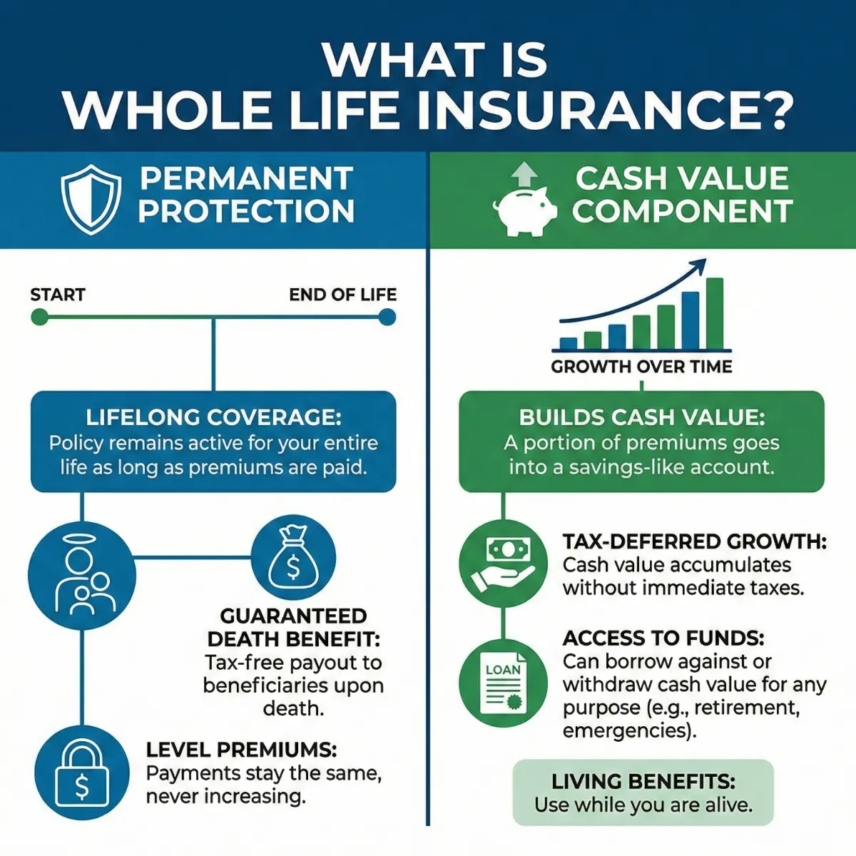 What Is Whole Life Insurance? Low Cost for Floridians!
